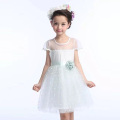 GZ usine bébé fille robe de soirée 2 ans nouveau design enfants robe modèle anniversaire tutu menthe appliqued